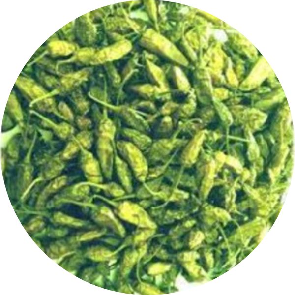 Dehydrated Green Chili Products
